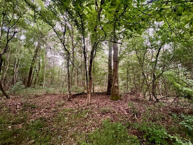 548 Quentin Road Se, McCall Creek