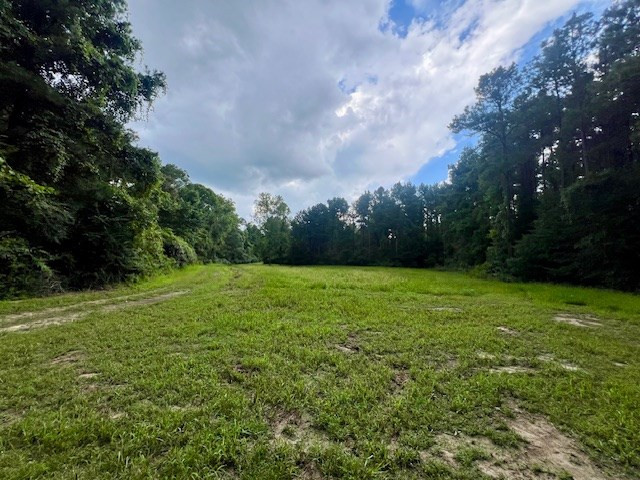 548 Quentin Road Se, McCall Creek