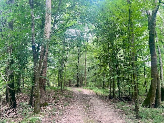 548 Quentin Road Se, McCall Creek