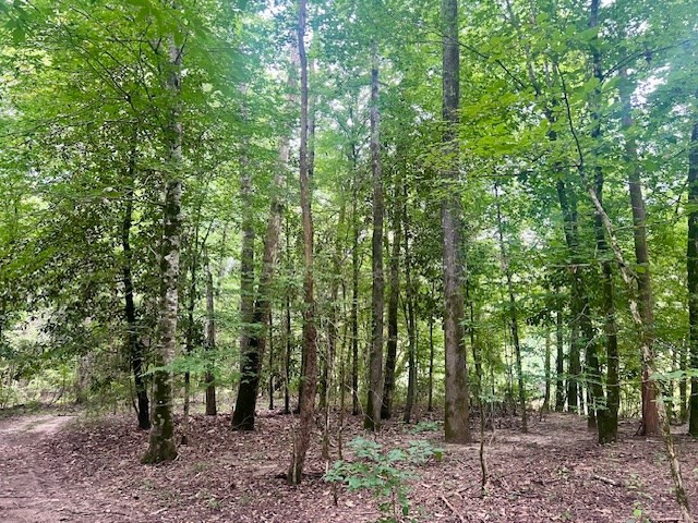 548 Quentin Road Se, McCall Creek