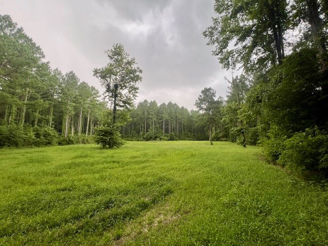 548 Quentin Road Se, McCall Creek