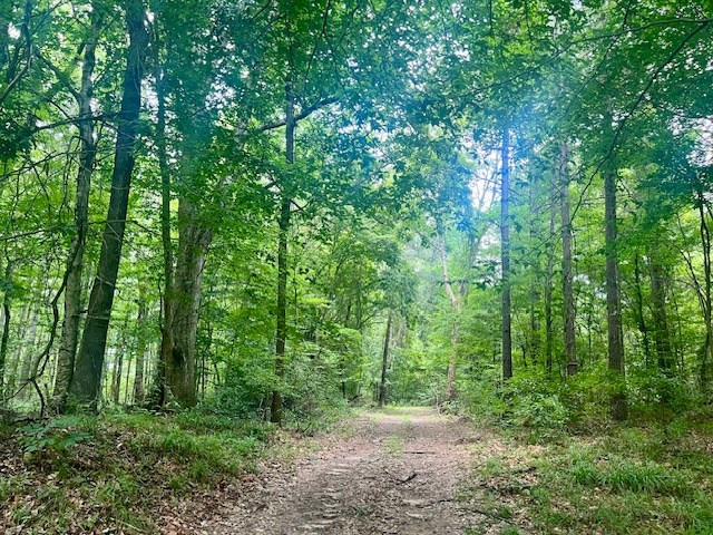 548 Quentin Road Se, McCall Creek