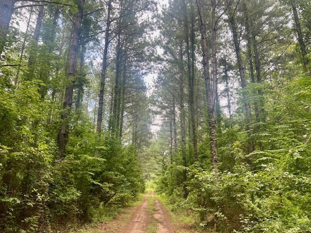 548 Quentin Road Se, McCall Creek