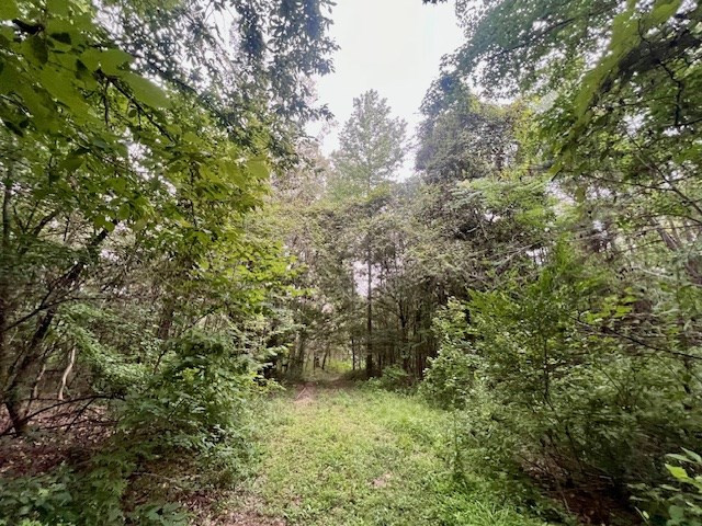 548 Quentin Road Se, McCall Creek