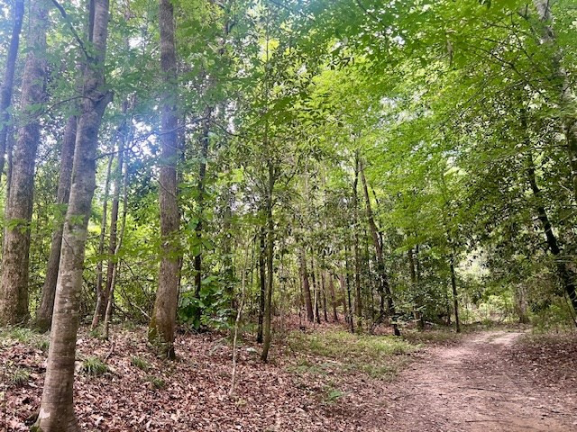 548 Quentin Road Se, McCall Creek