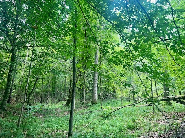 548 Quentin Road Se, McCall Creek