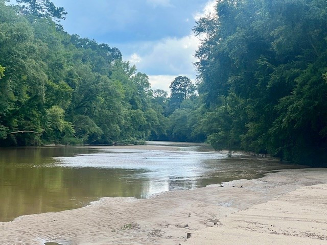 548 Quentin Road Se, McCall Creek