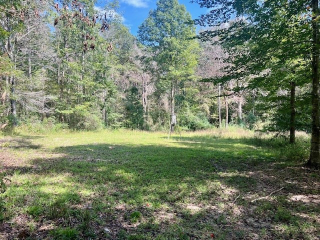 4870 Berwick Cassels