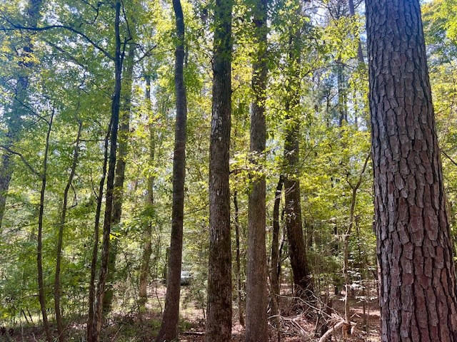 4870 Berwick Cassels