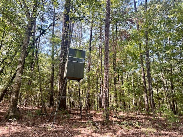 4870 Berwick Cassels