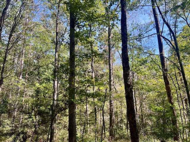 4870 Berwick Cassels