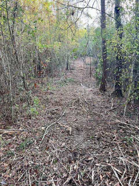 000000 Matthews Road