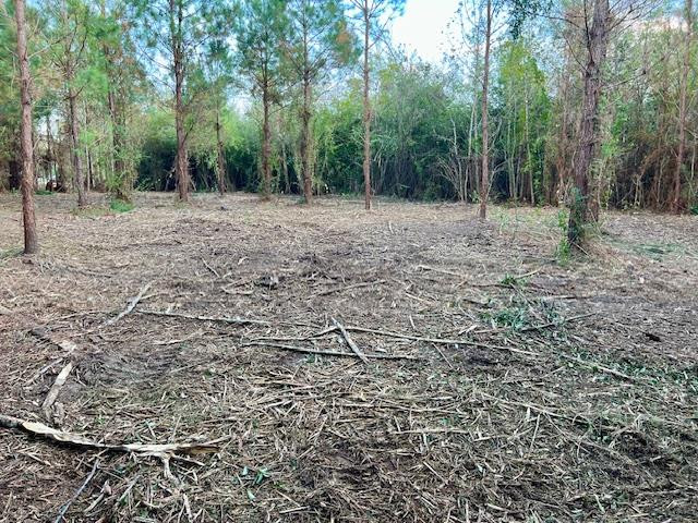 000000 Matthews Road