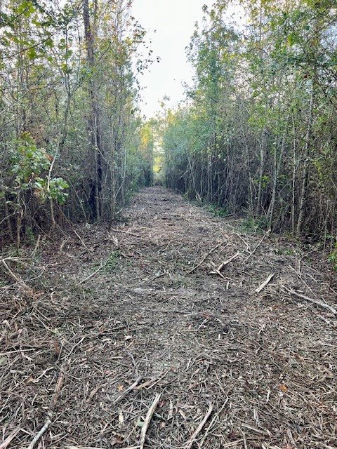 000000 Matthews Road