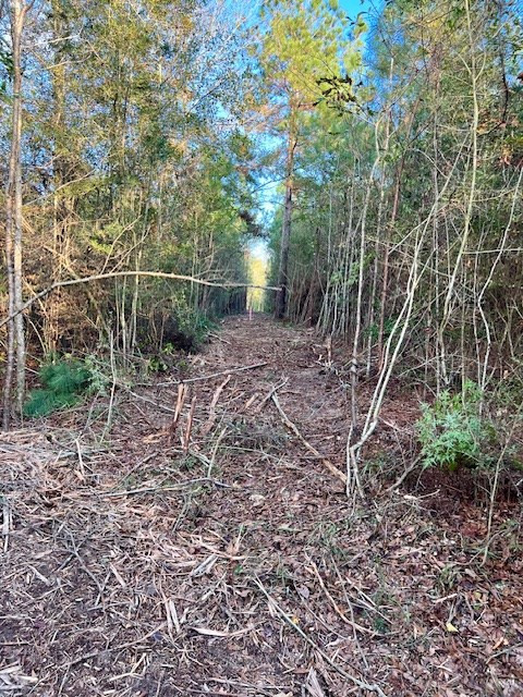 000000 Matthews Road