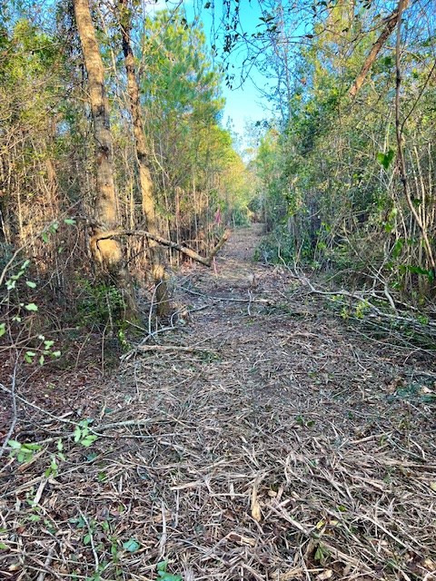 000000 Matthews Road