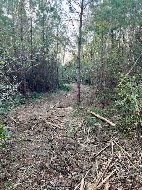 000000 Matthews Road