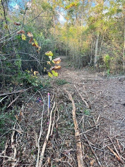 000000 Matthews Road