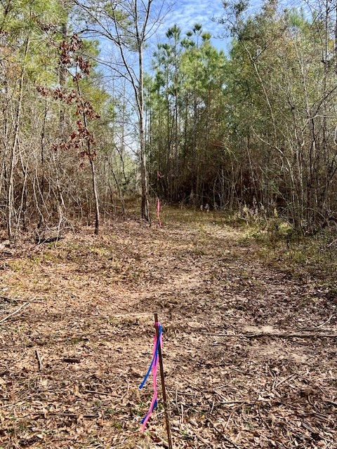 0000000 Matthews Road