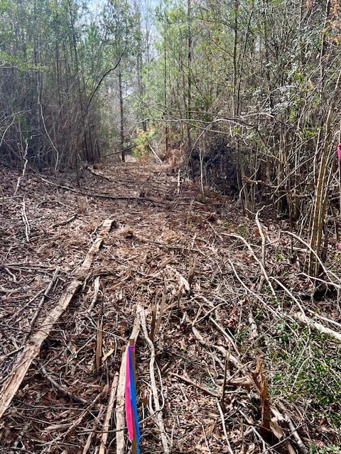 0000000 Matthews Road