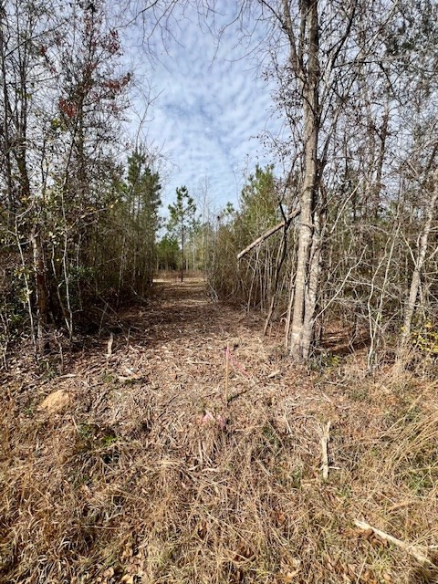 0000000 Matthews Road