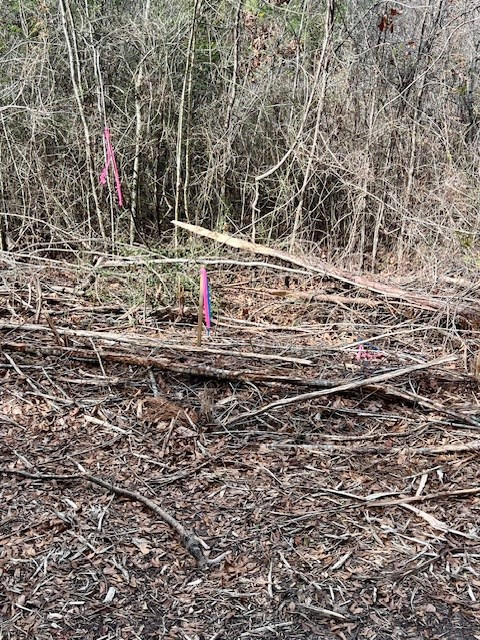 0000000 Matthews Road