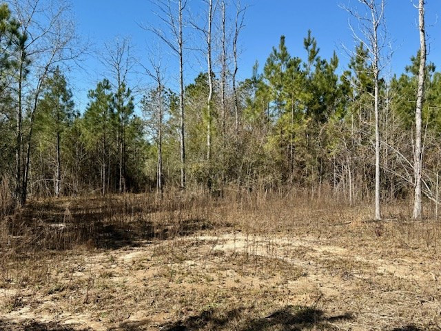 0000000 Matthews Road