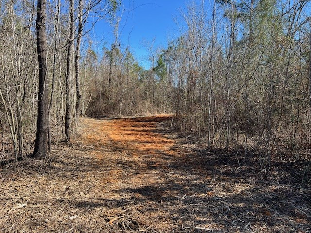 0000000 Matthews Road