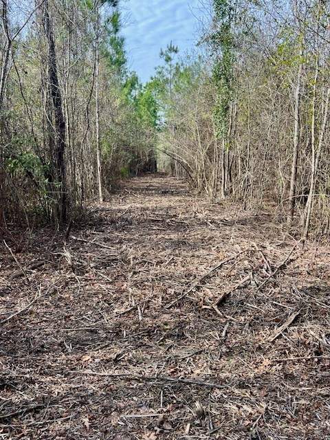 0000000 Matthews Road