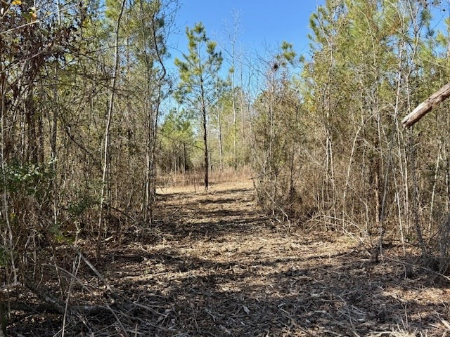 0000000 Matthews Road