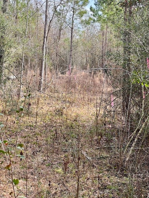 0000000 Matthews Road