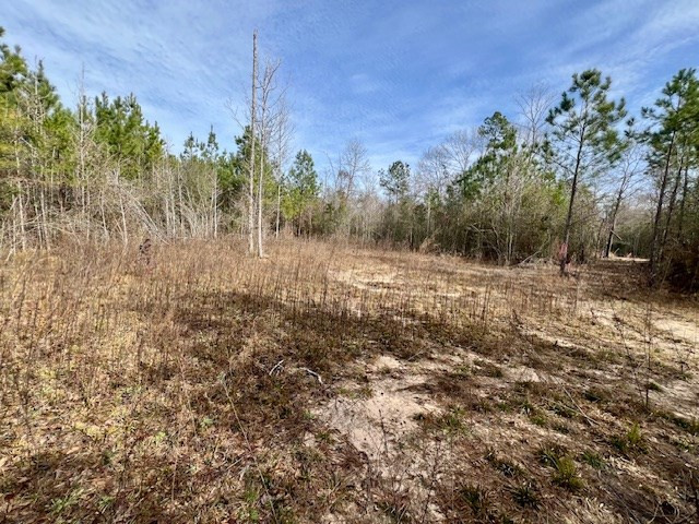 0000000 Matthews Road