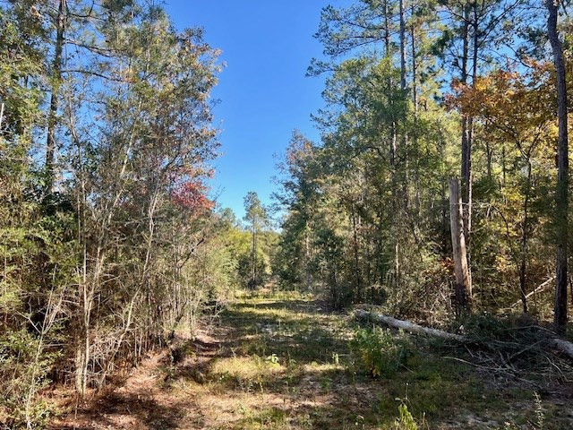 00000000 Dewitt Lane