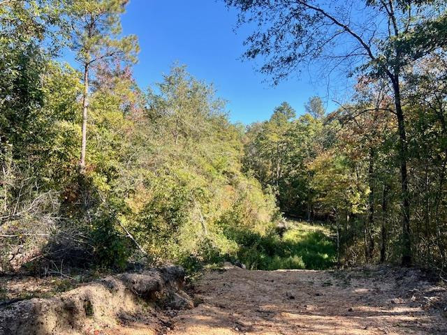 00000000 Dewitt Lane