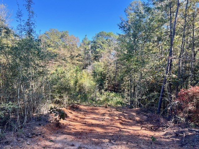 00000000 Dewitt Lane