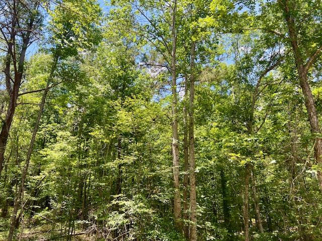 6257 Veto Road Ne, McCall Creek