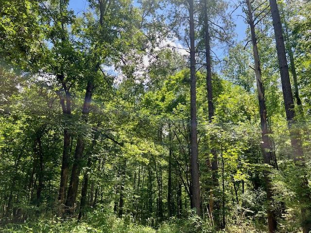 6257 Veto Road Ne, McCall Creek