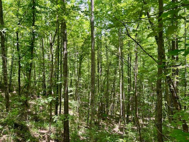 6257 Veto Road Ne, McCall Creek