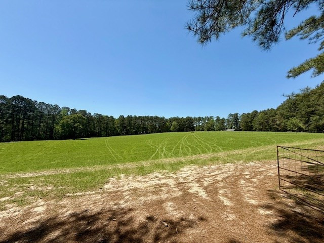 1262 Holmesville Road