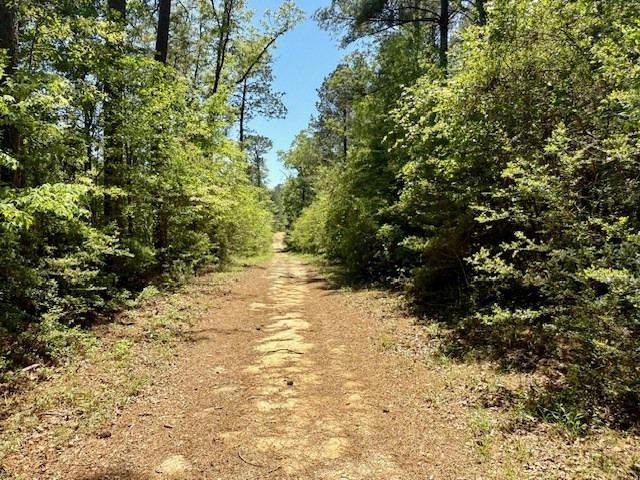 1262 Holmesville Road