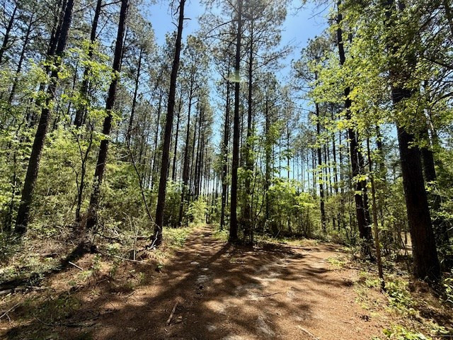 1262 Holmesville Road