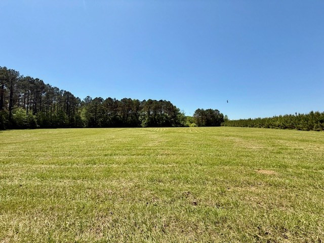 1262 Holmesville Road