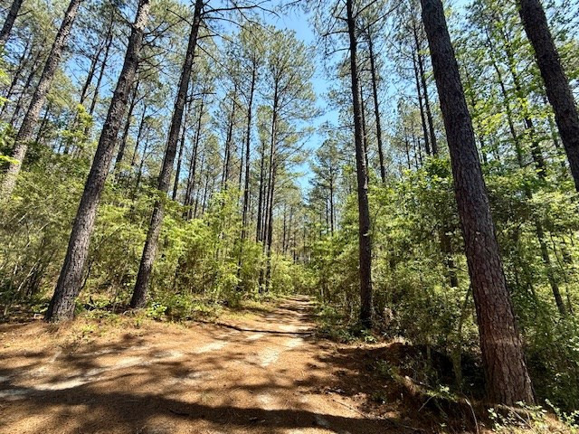 1262 Holmesville Road