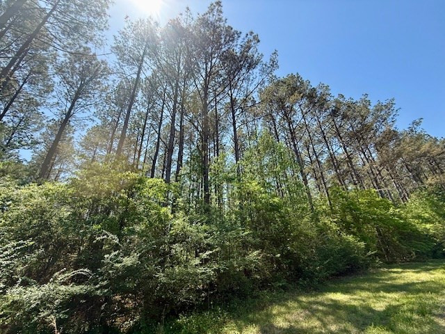 1262 Holmesville Road