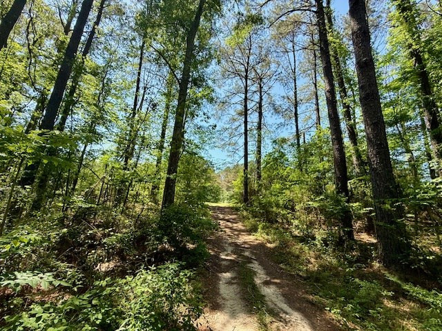 1262 Holmesville Road