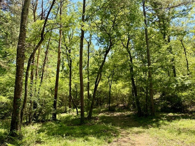 1262 Holmesville Road