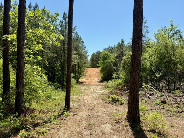 1262 Holmesville Road