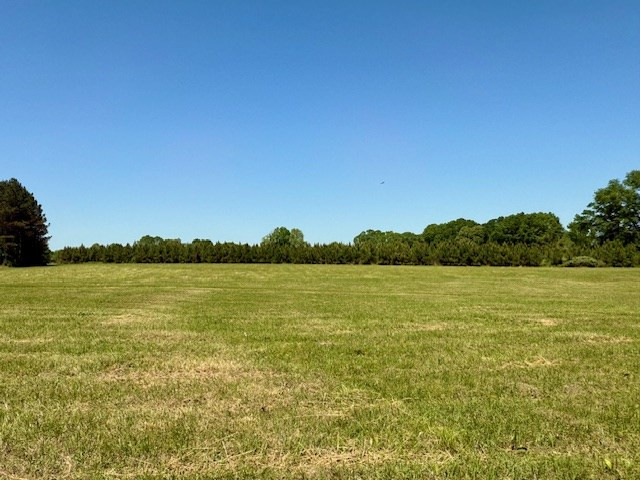 1262 Holmesville Road