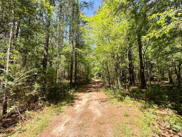 1262 Holmesville Road