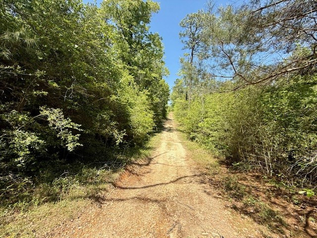 1262 Holmesville Road